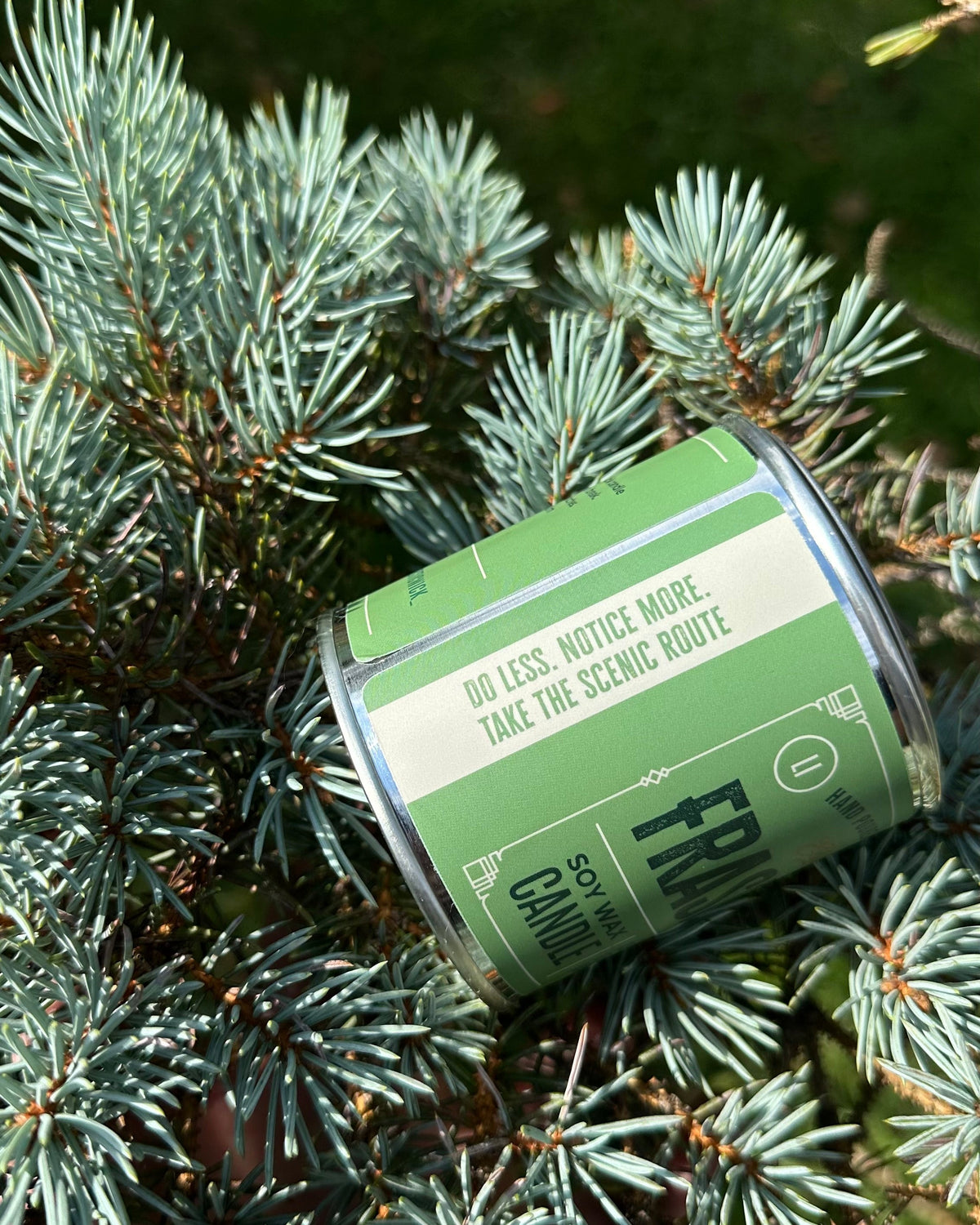 A green tin labeled featuring a quote "DO LESS. NOTICE MORE. TAKE THE SCENIC ROUTE" on the branches of an evergreen.