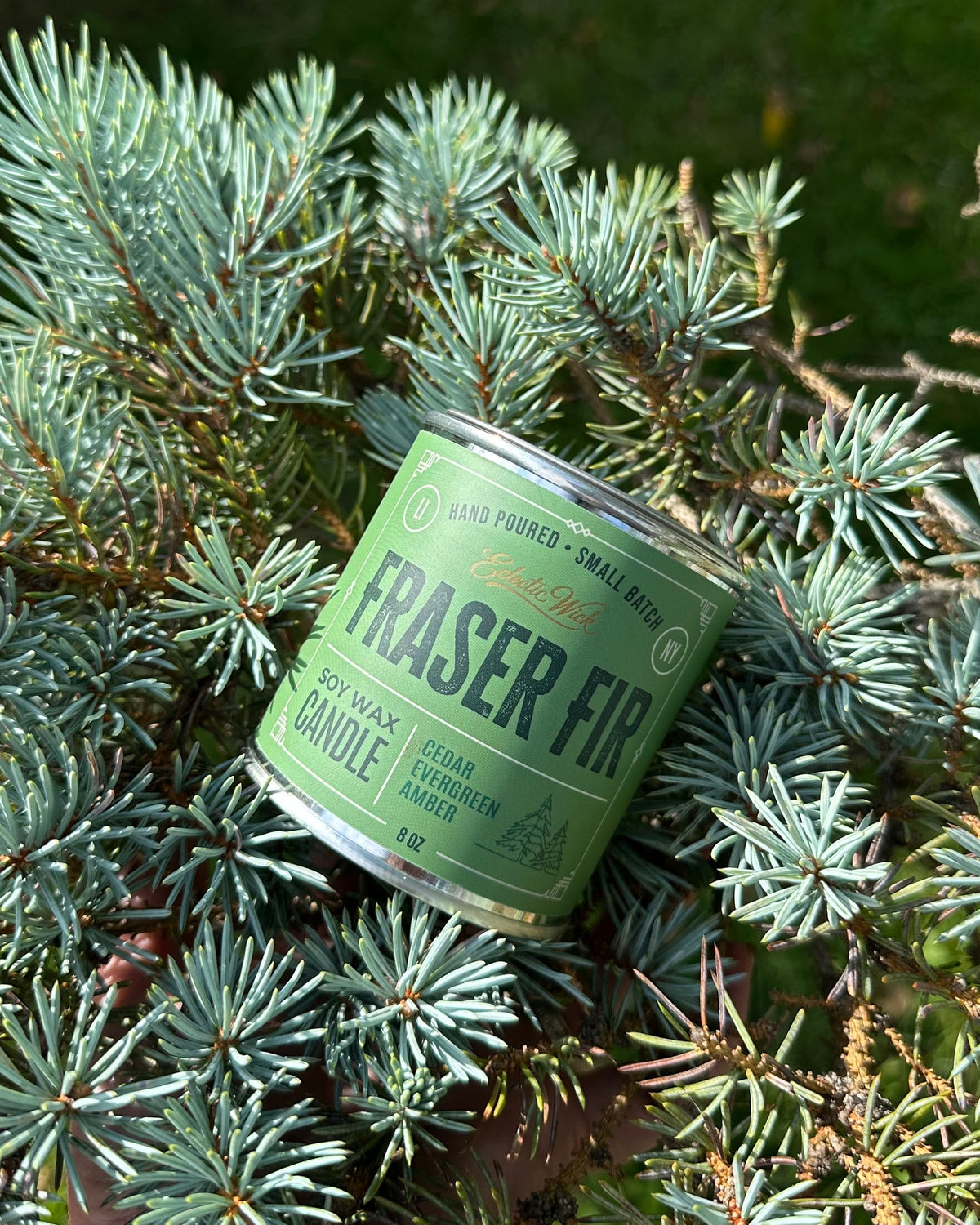A green metal candle tin labeled 'Fraser Fire' resting among evergreen branches outdoors.